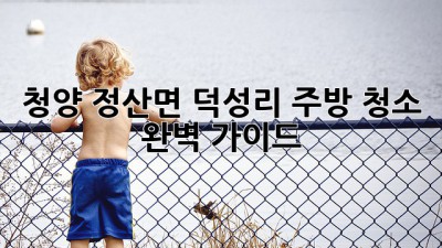 청양 정산면 덕성리 주방 청소 완벽 가이드