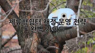 체류형쉼터 재정 운영 전략 완벽 가이드